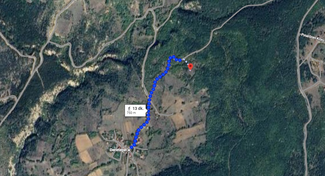 KASTAMONU ARAÇ DERETEPEDE 3.004 M² TARLA SATILIK. - KASTAMONU ARAÇ fotoğraf 3